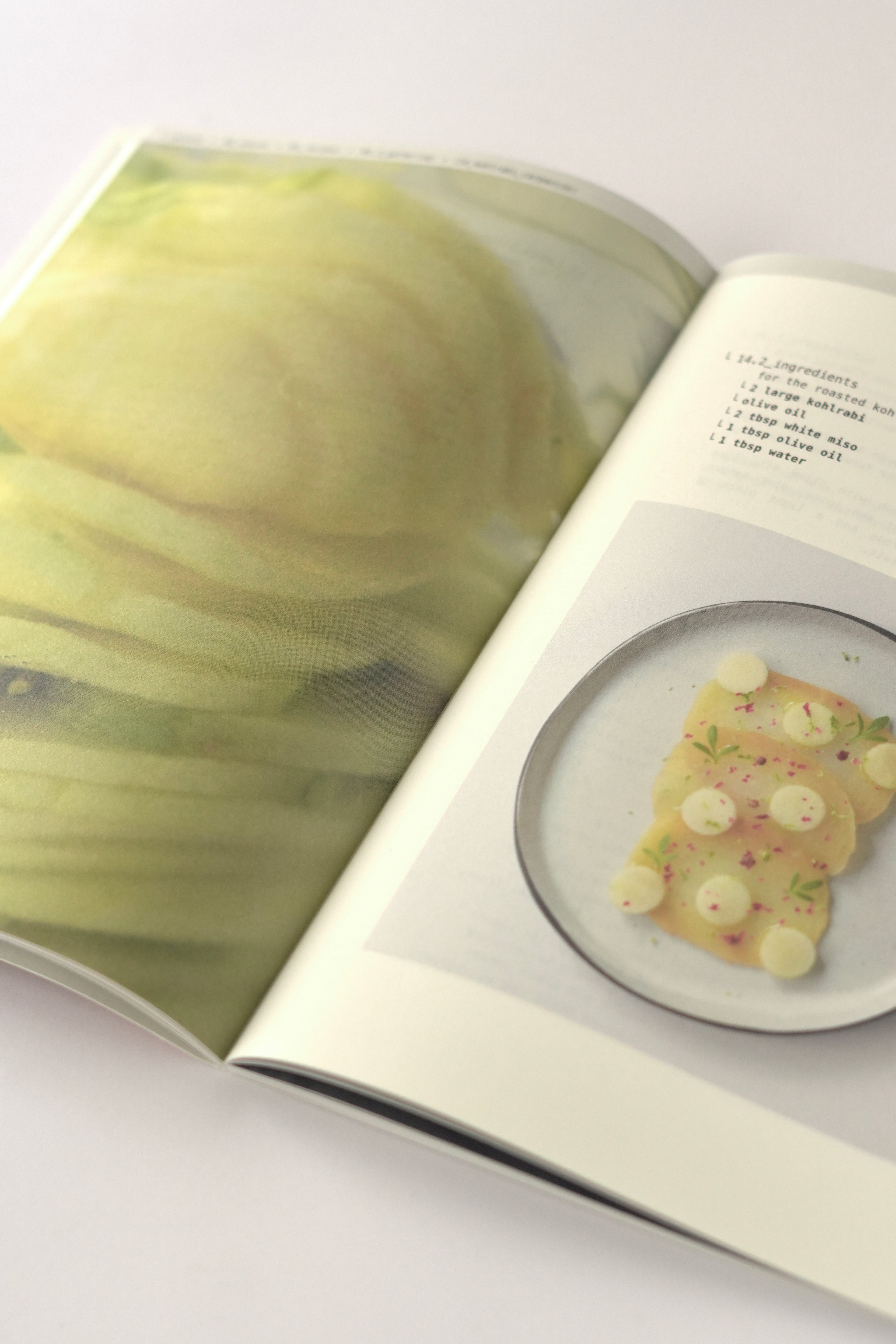 └ palate_magazine_/_01_season