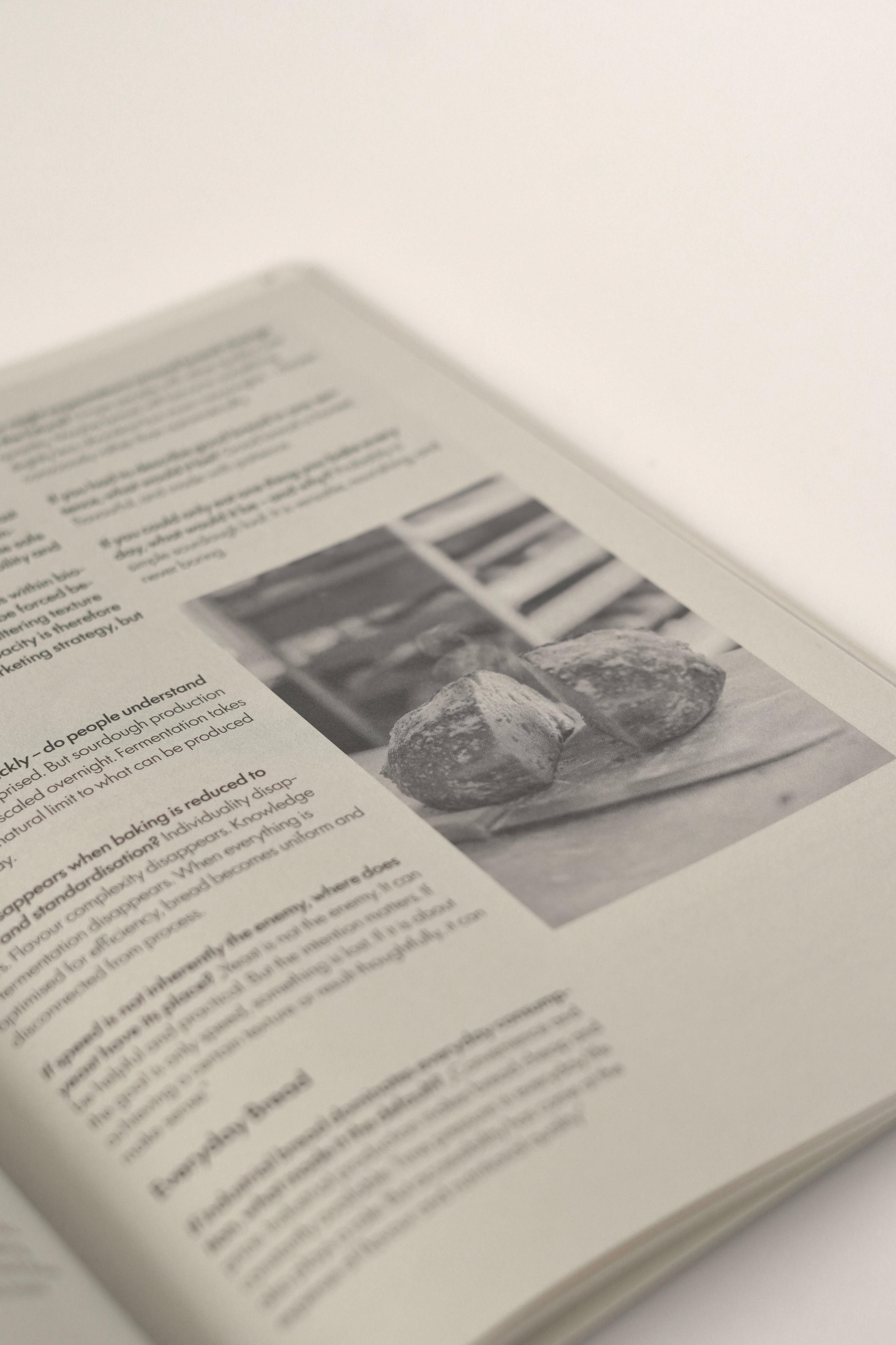 └ palate_magazine_/_01_season