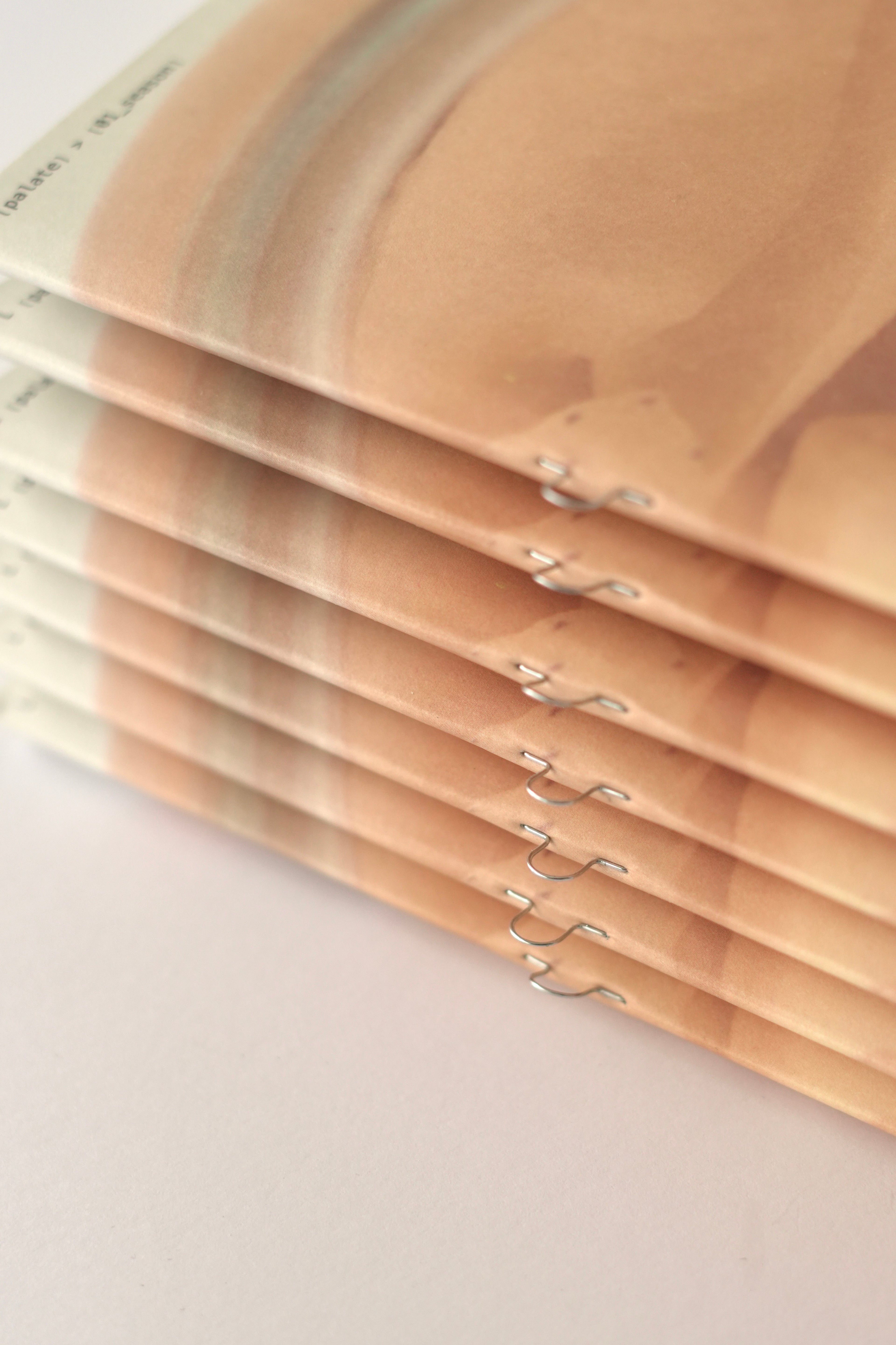 └ palate_magazine_/_01_season