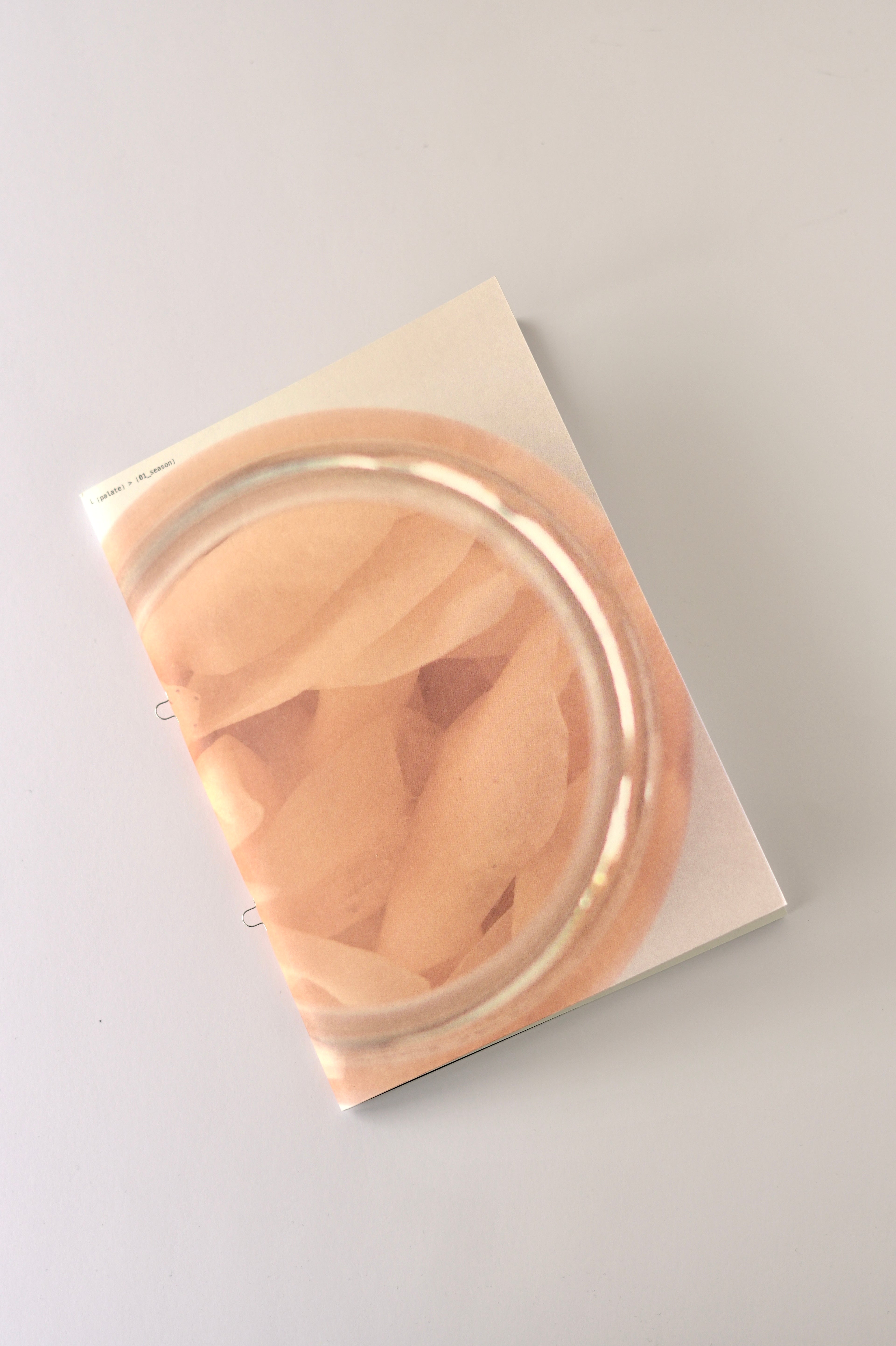 └ palate_magazine_/_01_season