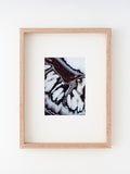 white_bean_print_09/26