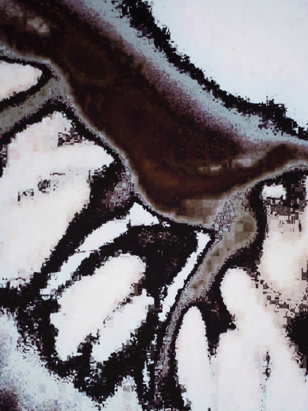 white_bean_print_09/26